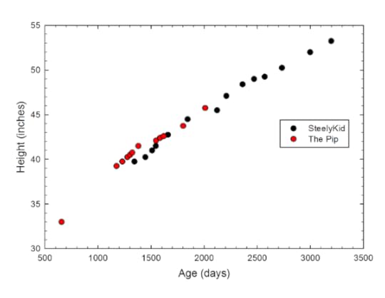 Height measurements for SteelyKid and The Pip.