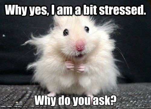 Image result for stressed out, anxious