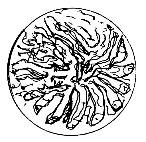 Devil-Details-Mandala