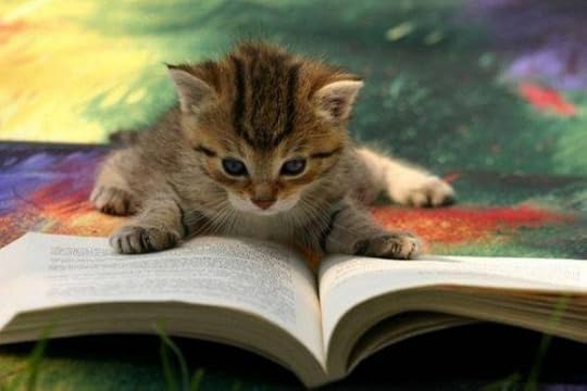 Image result for cute animals reading