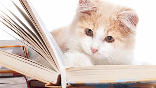 Image result for cute animals reading
