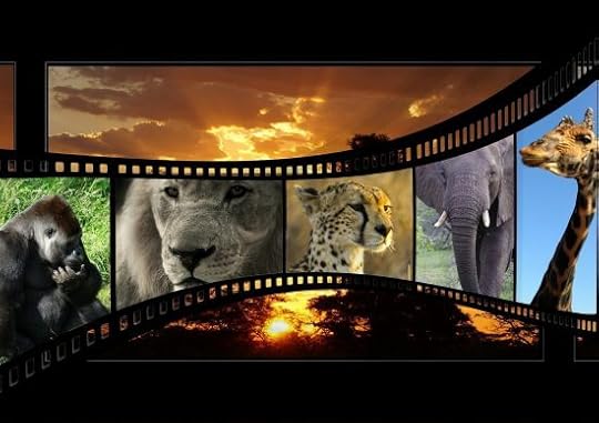 Celebrity Animals in Movies