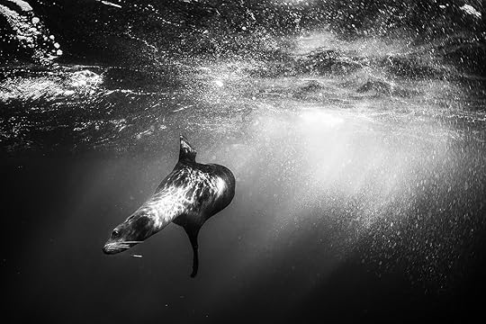 20170515-duChemin-Los_Islotes-177-Edit-blog