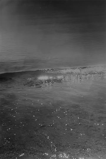 Dirk Braeckman, Z.Z.-T.T.-17 #2, 2017 © the artist and courtesy of Zeno X Gallery, Antwerp 