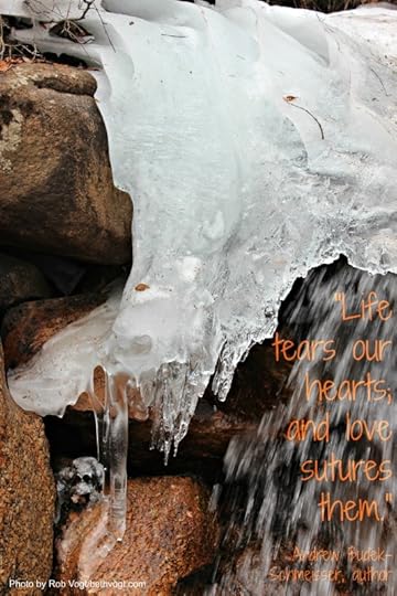 Tears and Sutures 2017