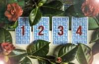 Free Tarot Reading with Michele – Immediate future