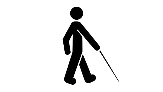 Image result for blind