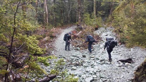 steffmetal routeburn track
