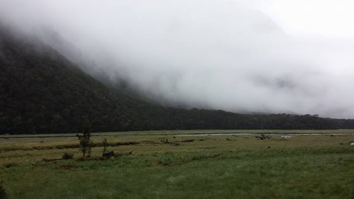 steffmetal routeburn track