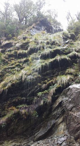 steffmetal routeburn track