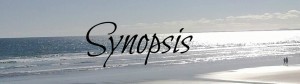 Synopsis banner