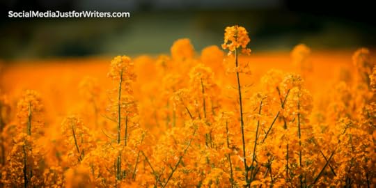  Indie Author Weekly Update