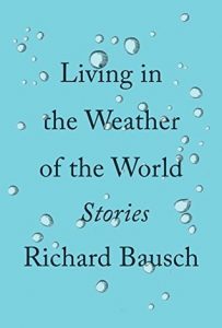 bauschcover
