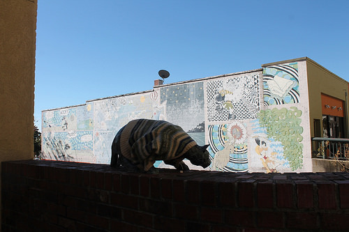 Wall Street, Asheville