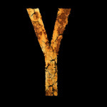 French expressions with y