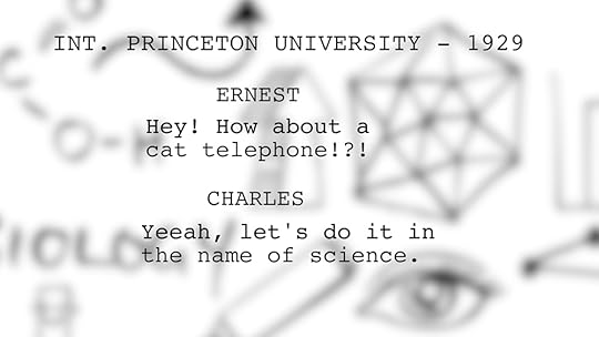 princeton cat experiment