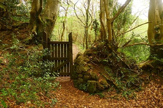 Woodland Gate