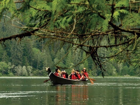 Tashii-Paddle-Branch.jpg