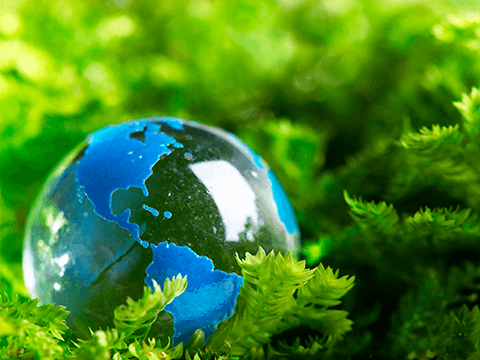 Photo: Join us for World Environment Day 2017