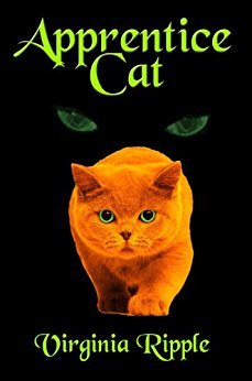 Image result for apprentice cat book