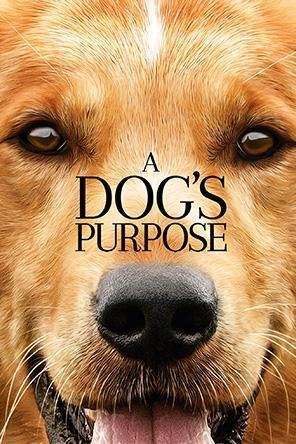 Image result for a dog's purpose