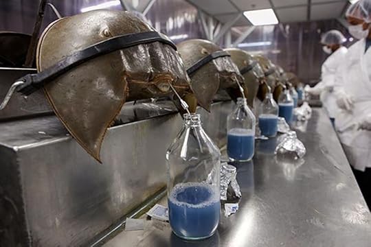 horseshoe crab blood
