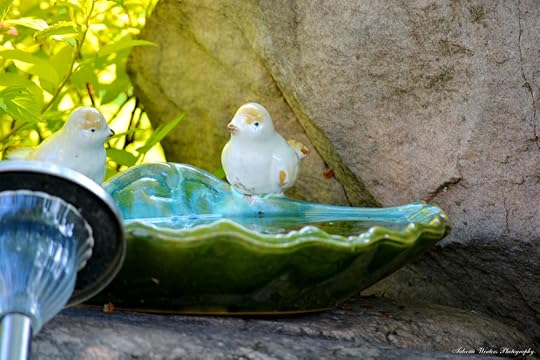 Ceramic-bird-shell-raincatcher