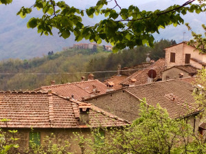 tuscany 1