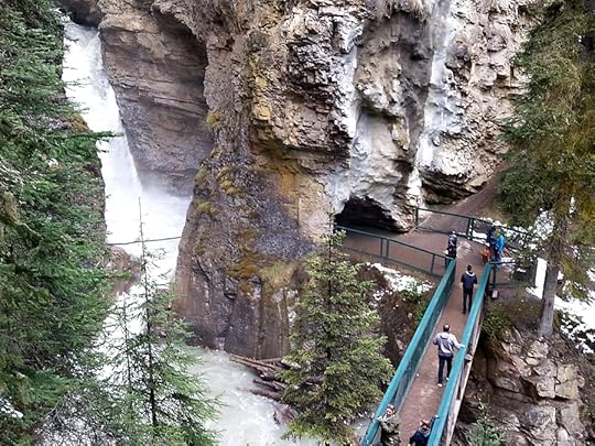 the Lower Falls