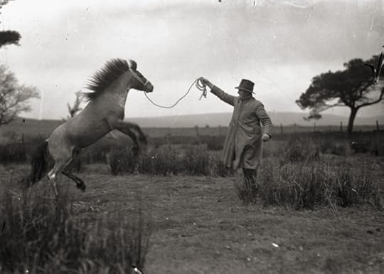Cover image for Toby Hay's The Gathering