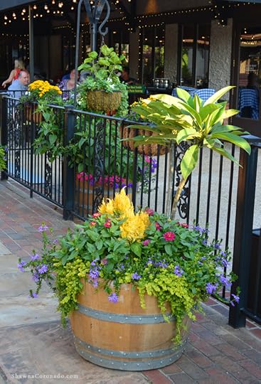 Grilled Romaine view Biltmore Estate