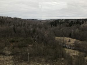IMG_9964