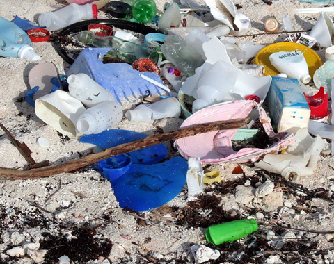 Photo: Oil and plastic are choking the planet