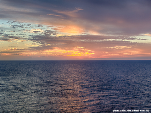 Photo: Is it time to celebrate plans for largest marine protected area in Canada?