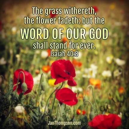 ISAIAH 40 8
