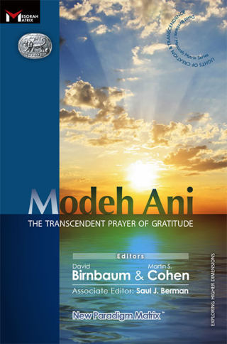 ModehAni_cover