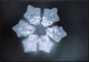 Energy Medicine