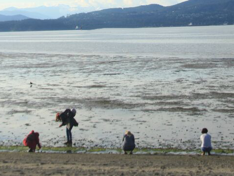 Photo: Lead your own beach bioblitz!