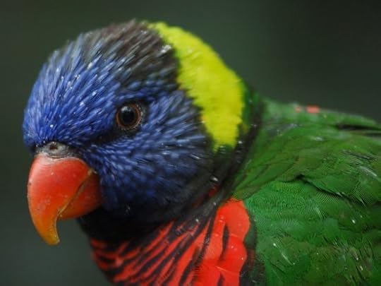 Top Five Most Animal-Friendly Zoos for You and Your Family 3