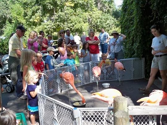 Top Five Most Animal-Friendly Zoos for You and Your Family 5