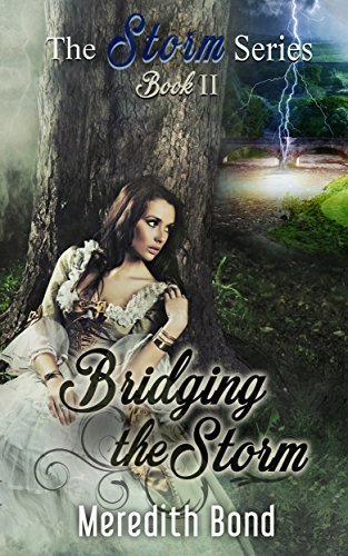 Bridging the Storm