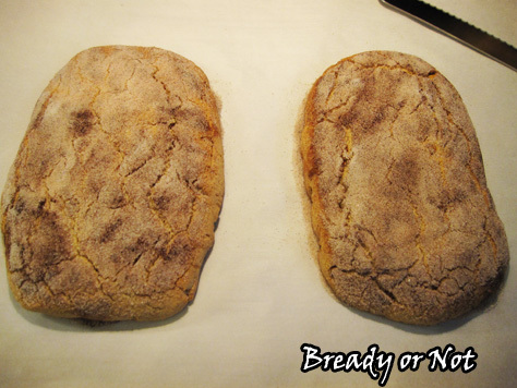 Bready or Not: Snickerdoodle Biscotti 