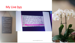 Screen Shot 2017-06-01 at 07.49.58