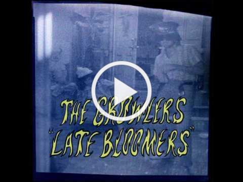 The Growlers - "Late Bloomers" (Official Audio)