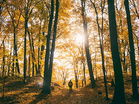 Photo: World Environment Day reminds us to reconnect with nature