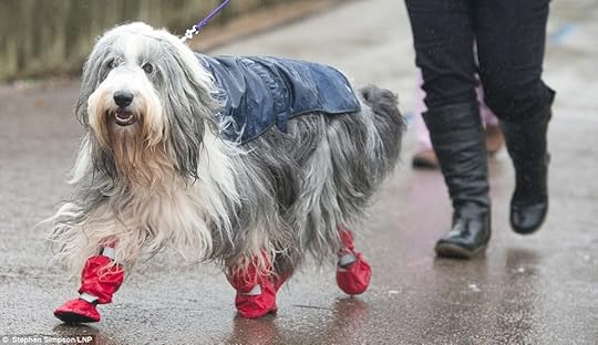 Image result for onesie and wellies images
