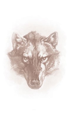 10 Books for Boys ~ LMLD Library Project