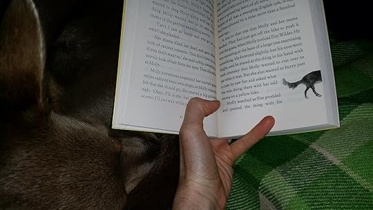 Molly and Pim and the Millions of Stars by Martine Murray