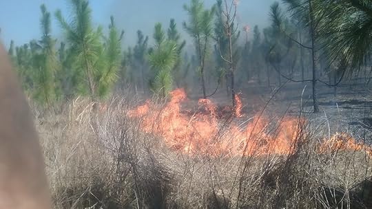 Image may contain: sky, outdoor and nature