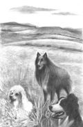 POD-the three dogs-blog size